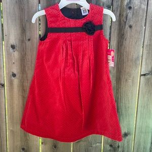 B1G2F 🚨 Carter’s holiday velvet dress